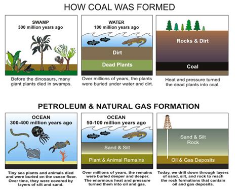 fossil fuels creation.